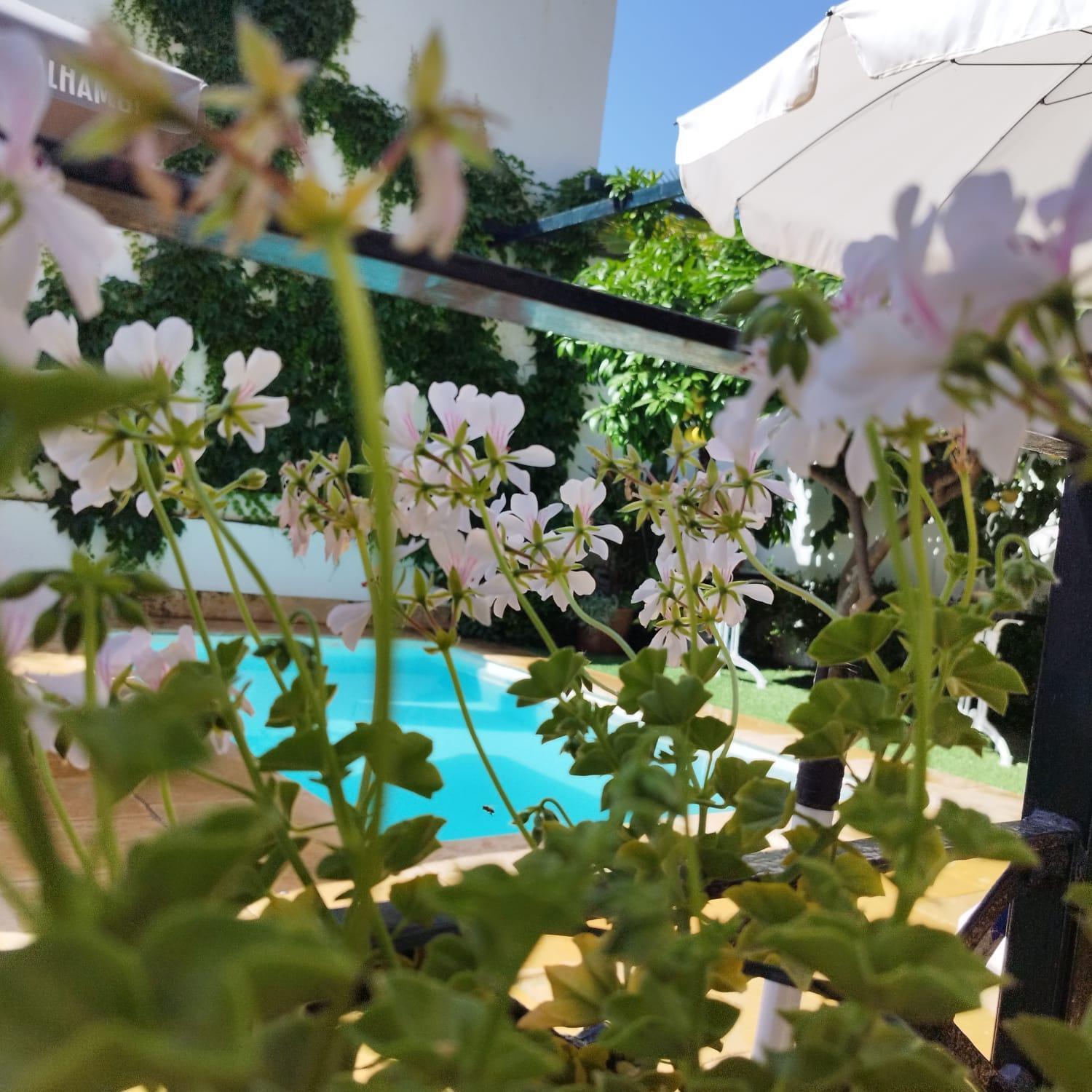 Suite Comares Granada Dış mekan fotoğraf