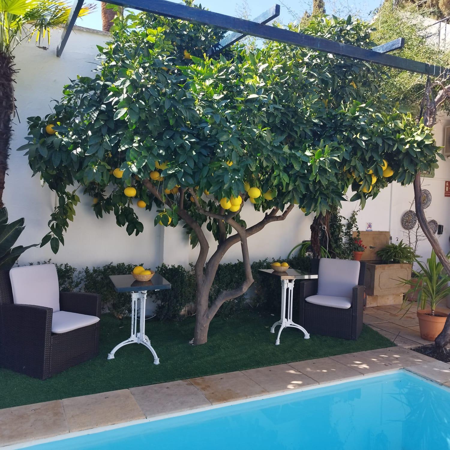 Suite Comares Granada Dış mekan fotoğraf