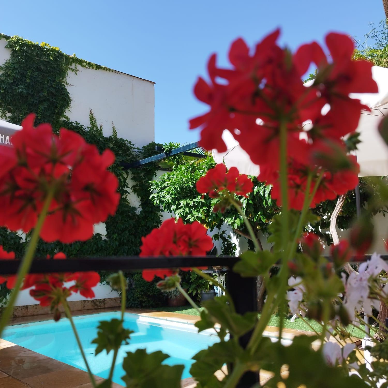 Suite Comares Granada Dış mekan fotoğraf